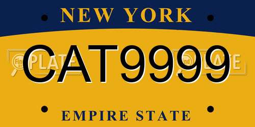 CAT9999 New York License Plate