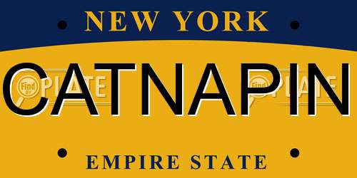 CATNAPIN New York License Plate
