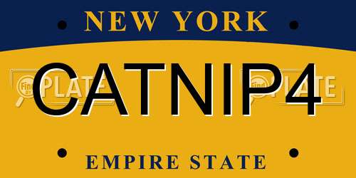 CATNIP4 New York License Plate