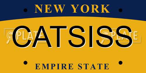 CATSISS New York License Plate