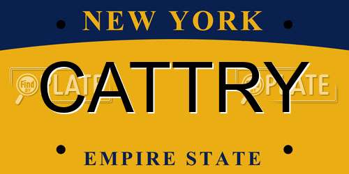 CATTRY New York License Plate