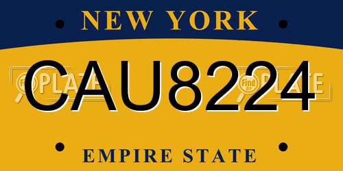 CAU8224 New York License Plate