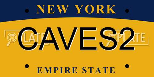 CAVES2 New York License Plate