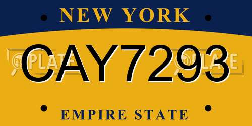 CAY7293 New York License Plate