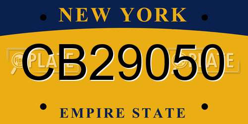 CB29050 New York License Plate