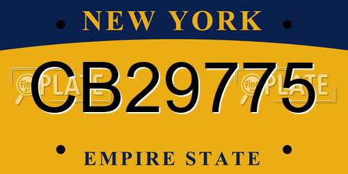 CB29775 New York License Plate