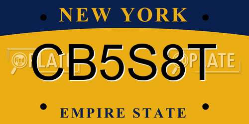 CB5S8T New York License Plate