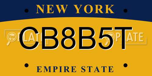 CB8B5T New York License Plate