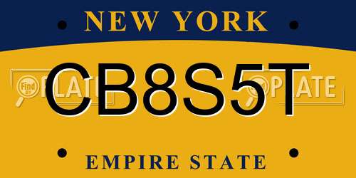 CB8S5T New York License Plate