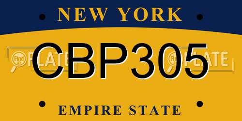 CBP305 New York License Plate