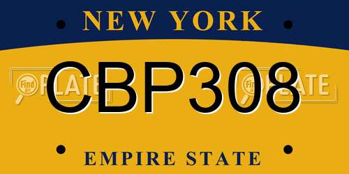 CBP308 New York License Plate