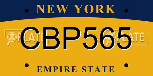 CBP565 New York License Plate