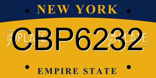 CBP6232 New York License Plate