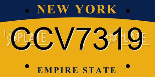CCV7319 New York License Plate