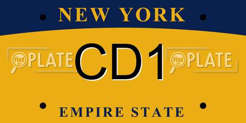 CD1 New York License Plate