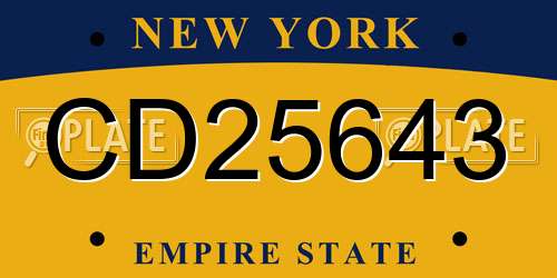 CD25643 New York License Plate