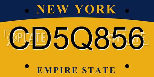 CD5Q856 New York License Plate
