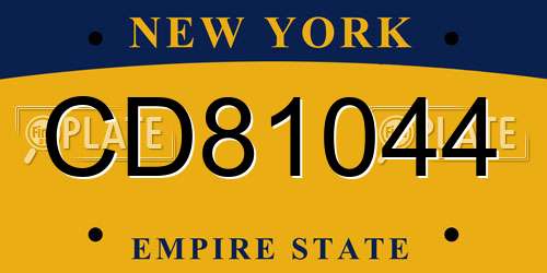 CD81044 New York License Plate