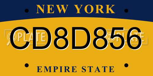 CD8D856 New York License Plate