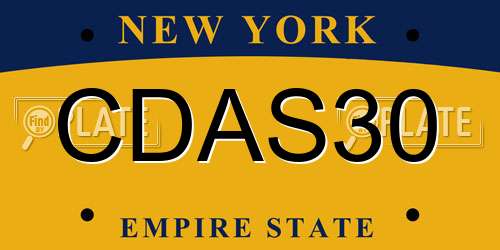 CDAS30 New York License Plate