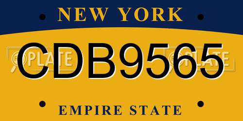 CDB9565 New York License Plate