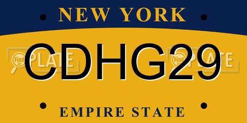 CDHG29 New York License Plate