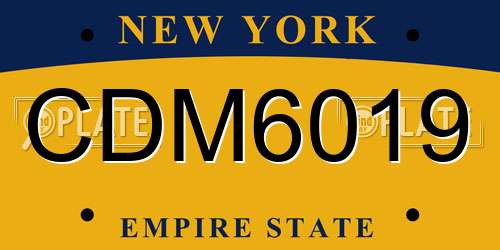 CDM6019 New York License Plate