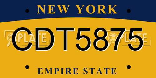 CDT5875 New York License Plate