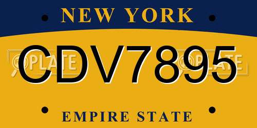 CDV7895 New York License Plate