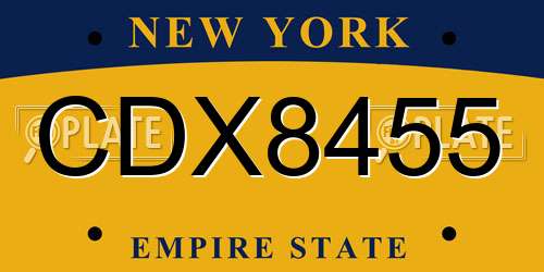 CDX8455 New York License Plate