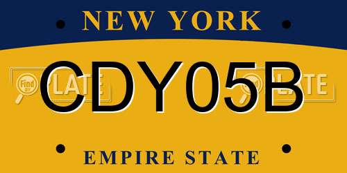 CDY05B New York License Plate