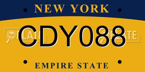 CDY088 New York License Plate