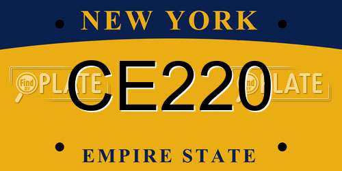 CE220 New York License Plate