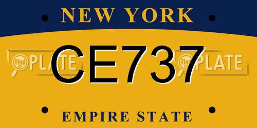 CE737 New York License Plate