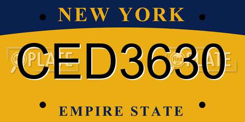 CED3630 New York License Plate