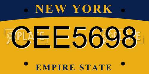 CEE5698 New York License Plate