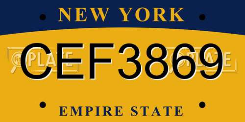 CEF3869 New York License Plate