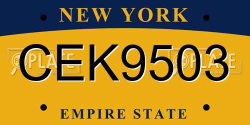 CEK9503 New York License Plate