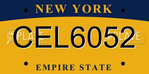 CEL6052 New York License Plate