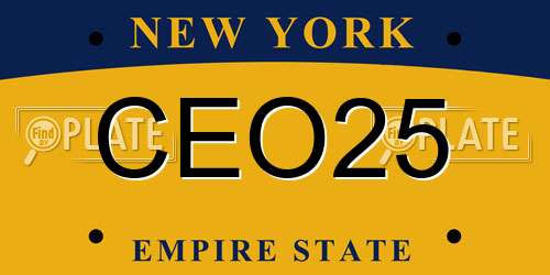 CEO25 New York License Plate