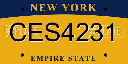 CES4231 New York License Plate