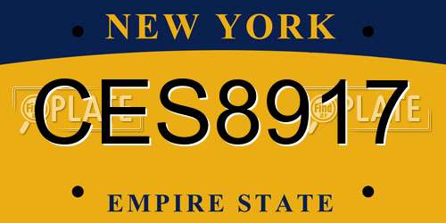 CES8917 New York License Plate