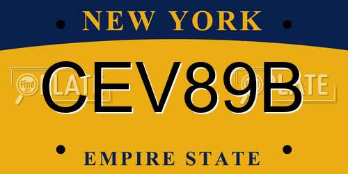 CEV89B New York License Plate