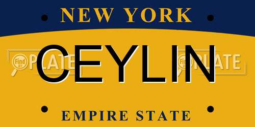 CEYLIN New York License Plate