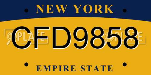 CFD9858 New York License Plate