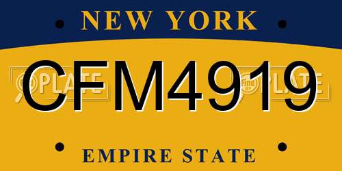 CFM4919 New York License Plate