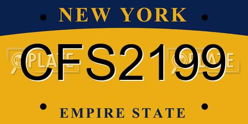 CFS2199 New York License Plate