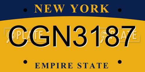 CGN3187 New York License Plate