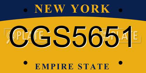 CGS5651 New York License Plate