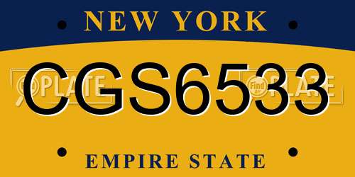 CGS6533 New York License Plate